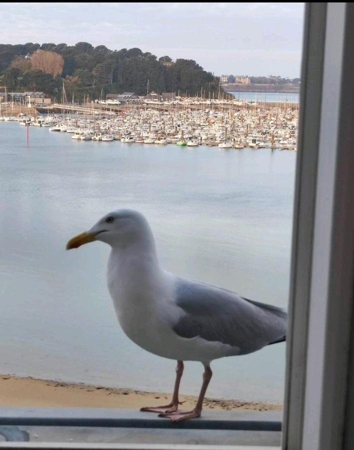 Nid De Corsaire, Vue Mer & Acces Plage Saint-Malo Exterior photo